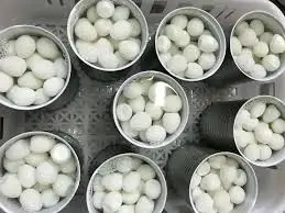 ELITE CANNED QUAIL EGGS / SAVORY AND NUTRITIOUS / MADE IN VIETNAM
