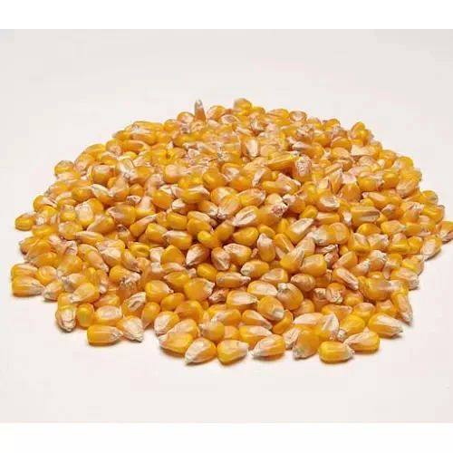Желтая Кукуруза без ГМО, подходит для человеческого потребления и корма для животных, Бразильская Желтая Кукуруза для кормления птицы