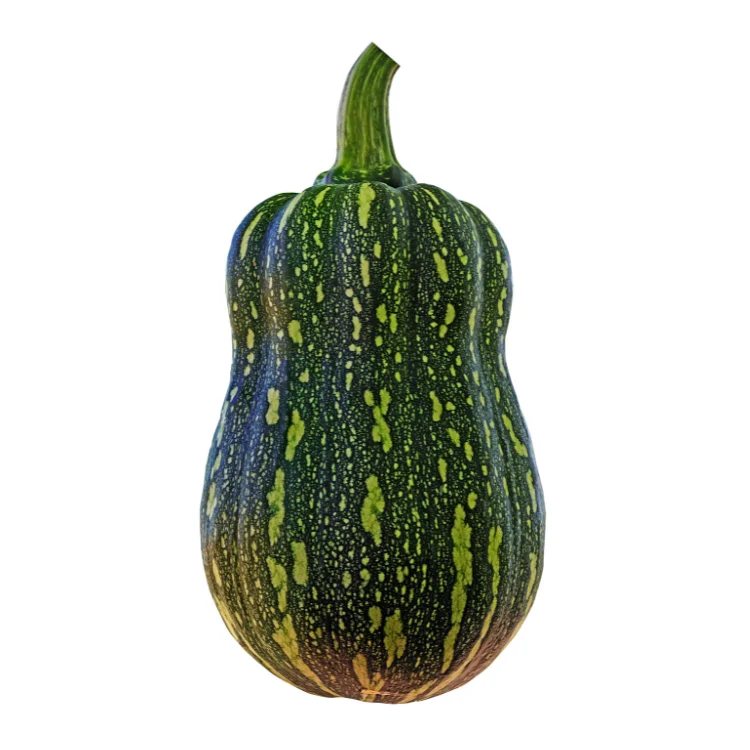 organic pumpkin Good choice good taste using for food packing in carton Made in Vietnam Manufacturer