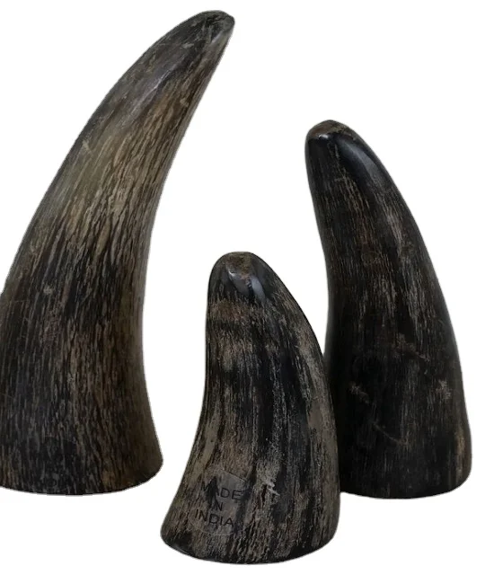 High Quality Natural Crafts Buffalo Horn Tips Cow/Ox Buffalo Horn Tip Manufacturing Best Price GM Impex Polished Animal
