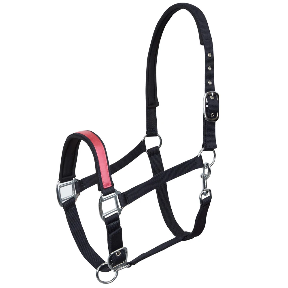 Nylon Top Quality Custom Horse Halter, Adjustable & Durable Halter wholesale