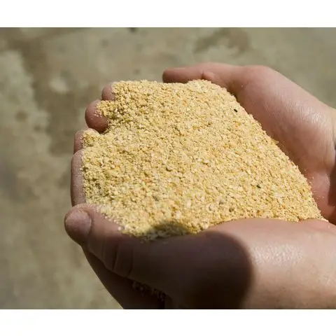 Soybean Meal 48% For Sale /Quality Soyabean Soy beans Meal
