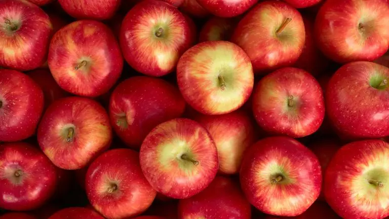 Wholesale Apples Factory Price Apples