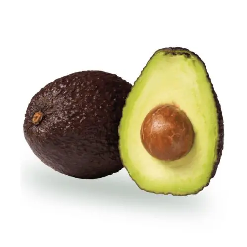 Quality Fresh avocado Fast Shipping with carton high quality avocado/Fresh Avocado for sale