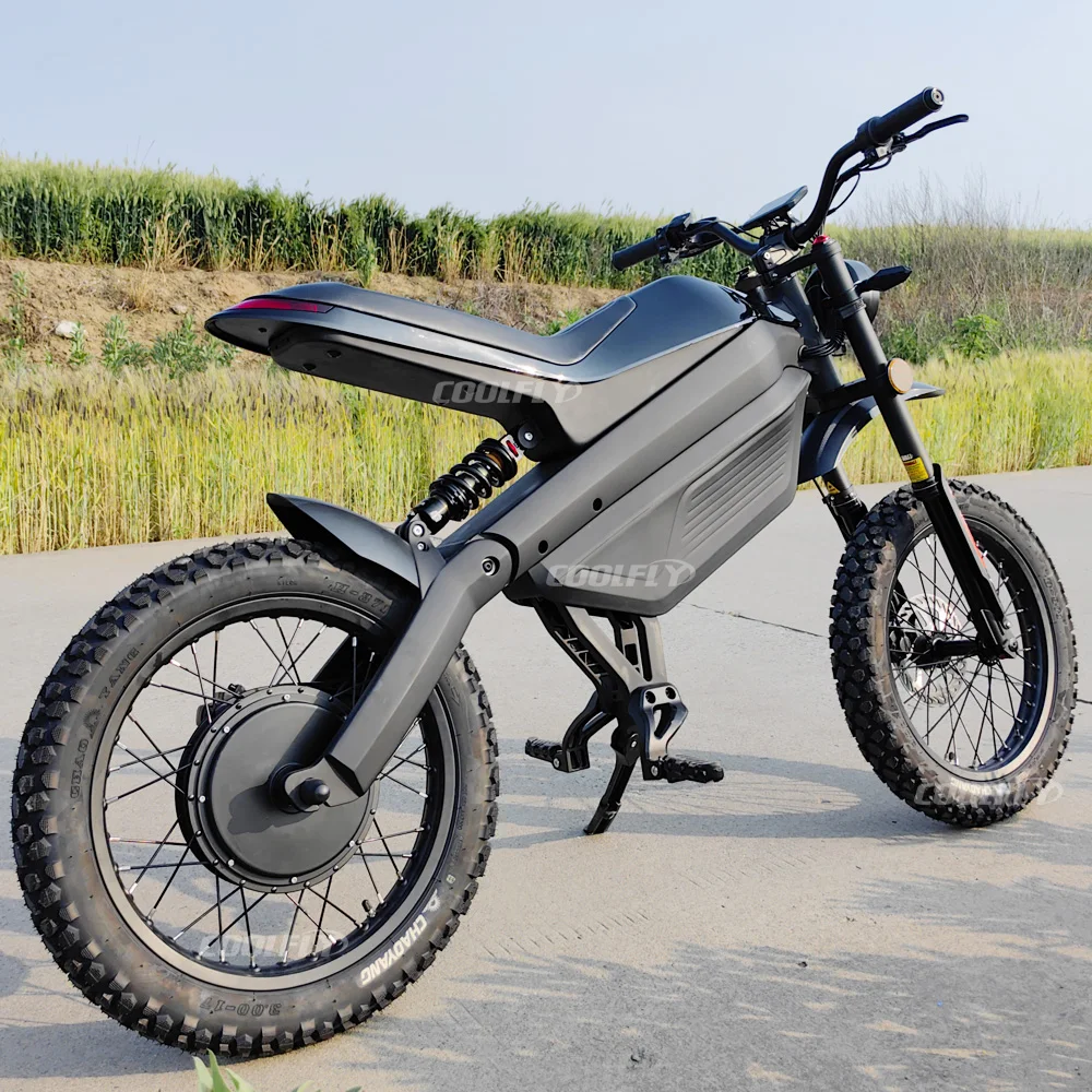 2024 отличный 1000w пит-Прыгай 3000W 48AH 38 4 AH Быстрый Электрический велосипед для взрослых