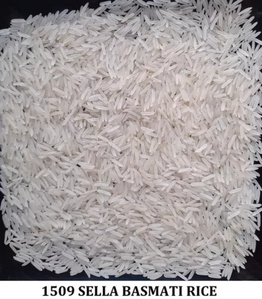 Basmati Rice