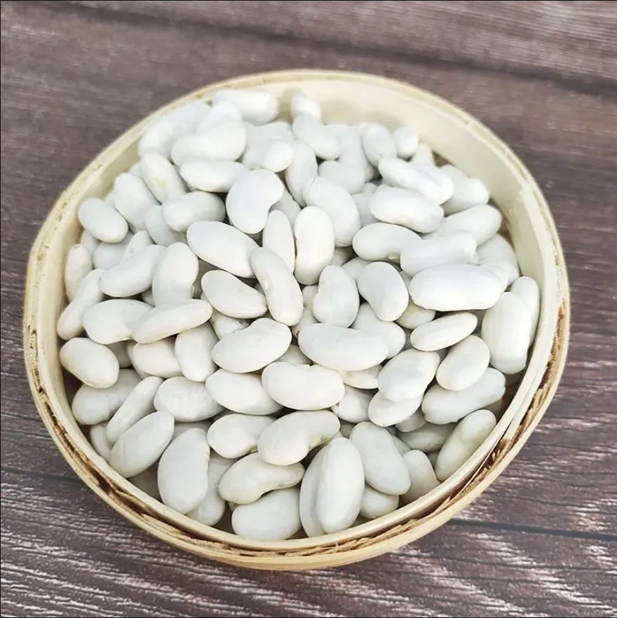 whole sale High Quality Red Kidney Beans 2023 Crops Year