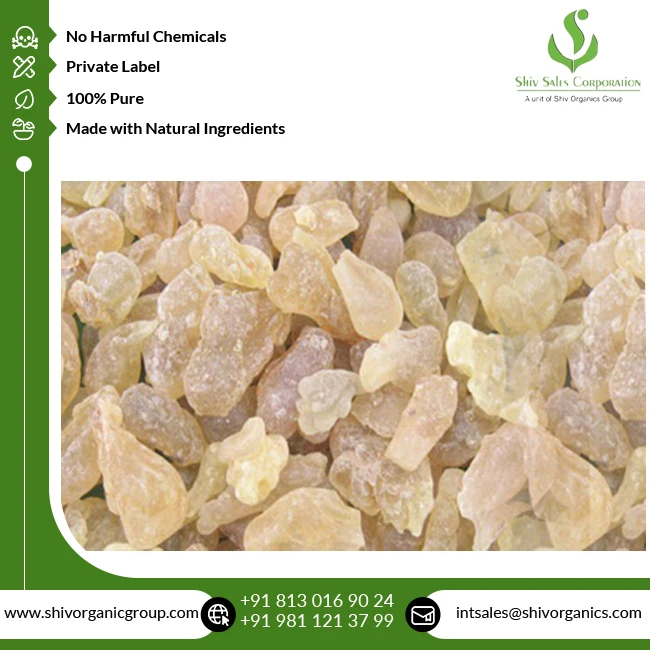 Highest Quality Wholesale Supply Pure and Natural Therapeutic Grade Boswellia Serrata Herbal Extract from Indian Exporter