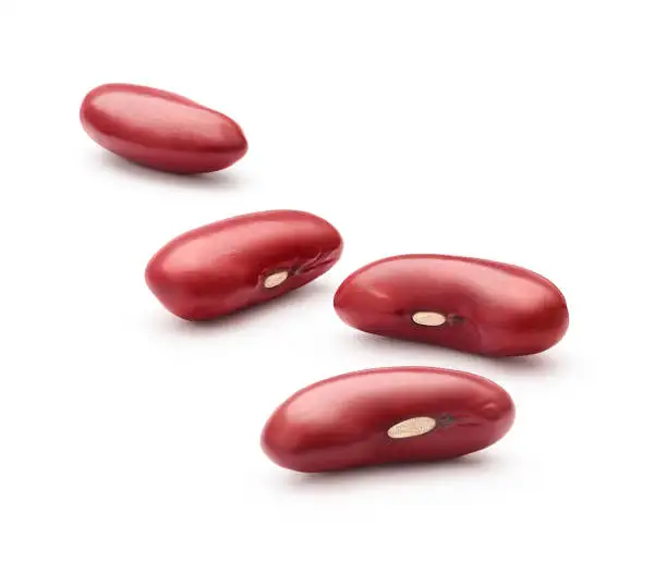 Dried Light Red Kidney Beans  20 lb