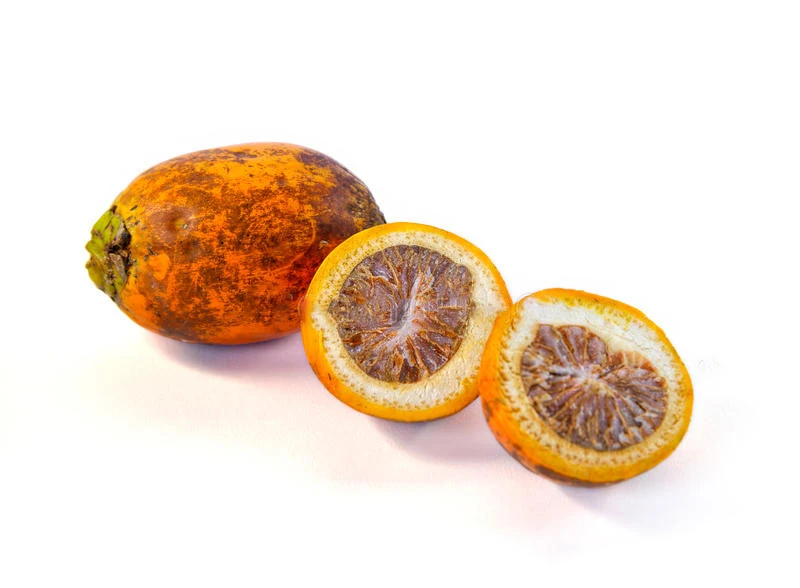 High Quality New Crop Betel Nuts Ready To Export From Thailand Best Price Feet For Bangladesh / India / Pakistan Market