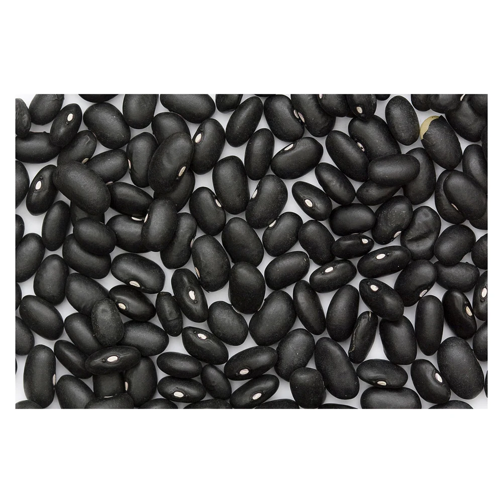 High Quality Healthy Care Black Kidney Beans For Sale Best Quality Long Shape Dark Black Kidney Bean