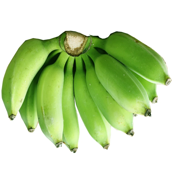 Best Quality of Cavendish Banana