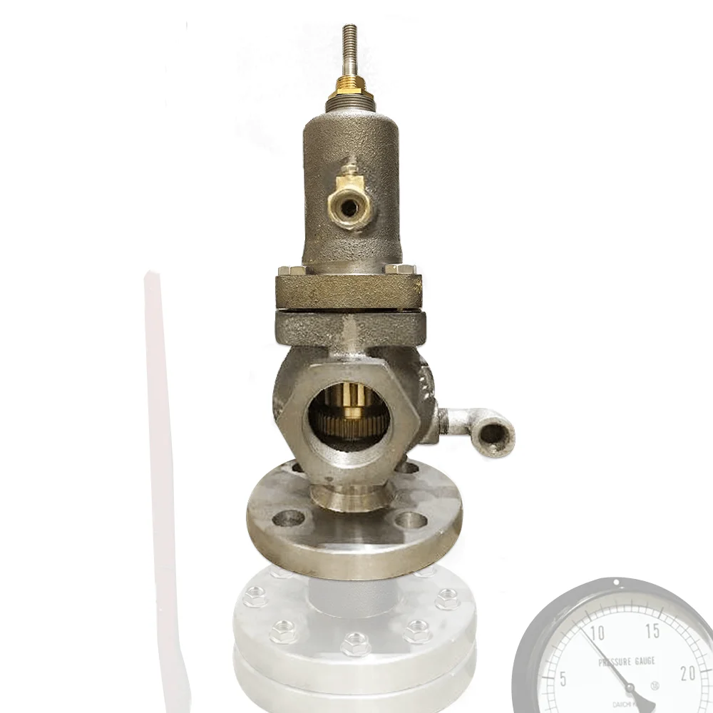 Pressure Relief Valve 2 inch