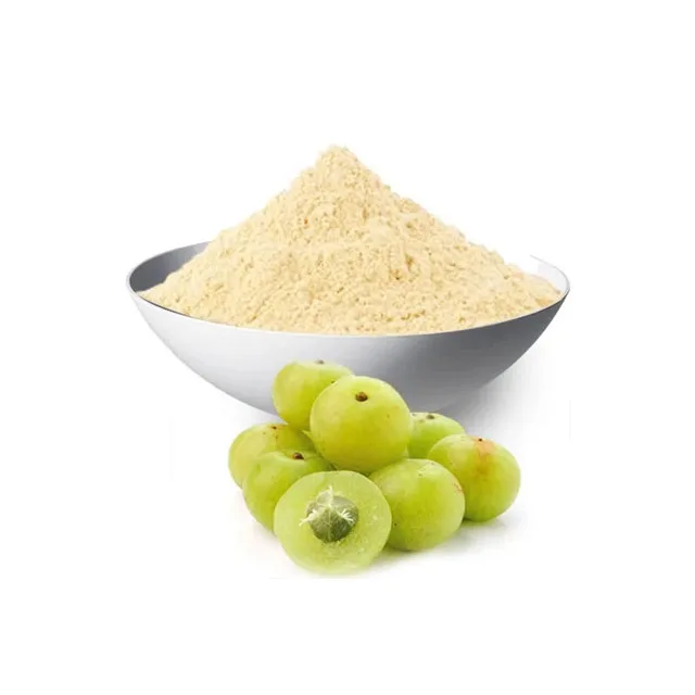 Высококачественный экстракт Emblica officinalis/Amla/Phyllanthus из Индии на экспорт по оптовой цене