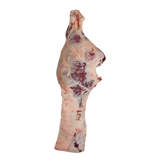 Lowest  price Beef Carcass