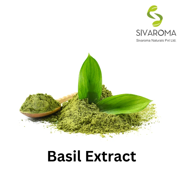 High Quality GMP ISO Certified Natural Ocimum tenuiflorum Extract Tulsi Extract Holy Basil Extract for World Wide Bulk Export