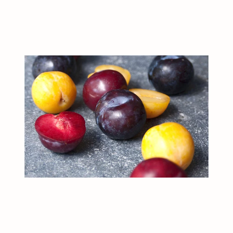 Fresh Tomatoes New Season Delicious High Quality Red Tomato From Cheap SaleHigh-Quality Fresh Red Tomato for Export