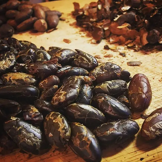 Buy High Quality Brazil Cocoa Beans Fresh Cacao Beans and Fine Cocoa Powder Best Price Guaranteed
