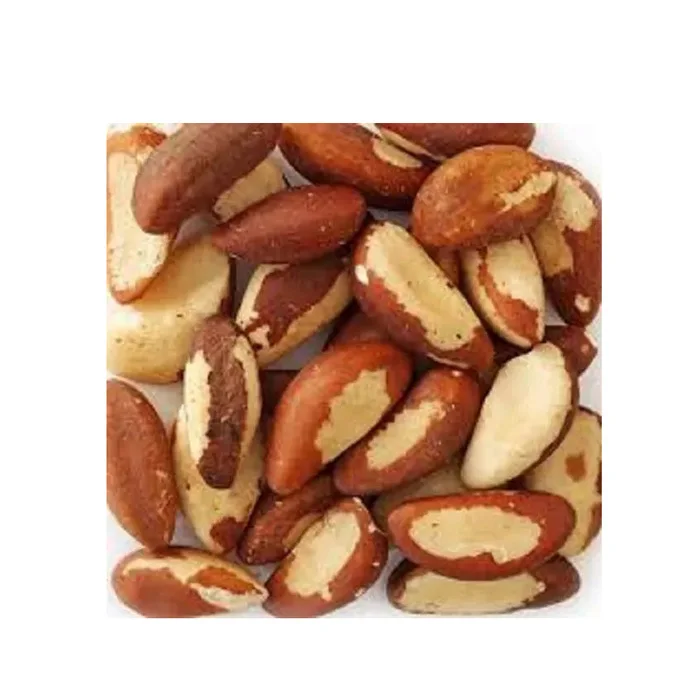High Quality Brazil Nuts Wholesale Natural Peru 100% Pure Raw Premium Brazil Nut Bulk Best Nuts