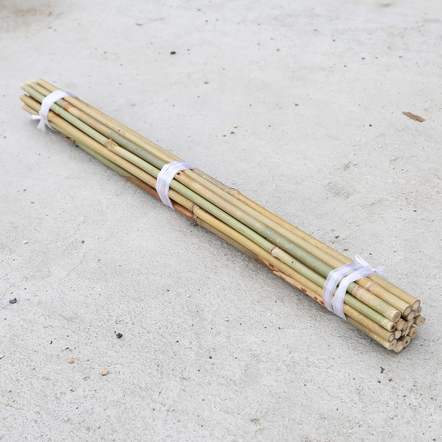 Green yellow natural dried bamboo poles for bulk export large bamboo pole stakes gardening construction buildings