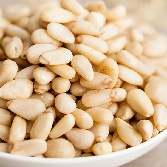 Pine Nut Kernels Original pine nuts / bulk and small package pine nuts..