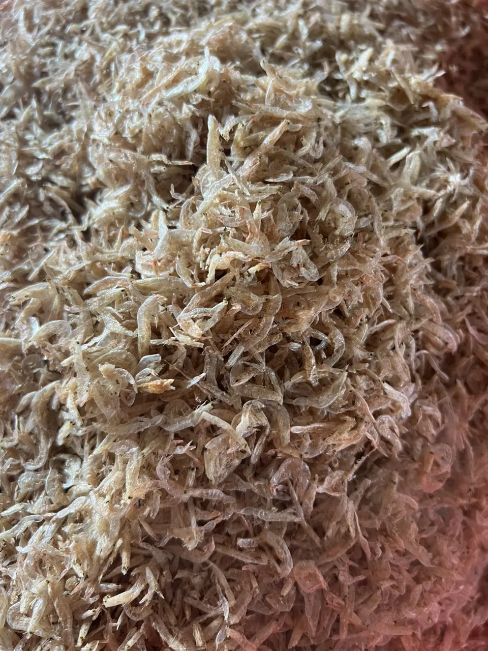 Light Pink Dried Shrimp With Size 2-3cm No Boil Dehydrated Tiny Shrimp Prawn Food Toppings Organic Products