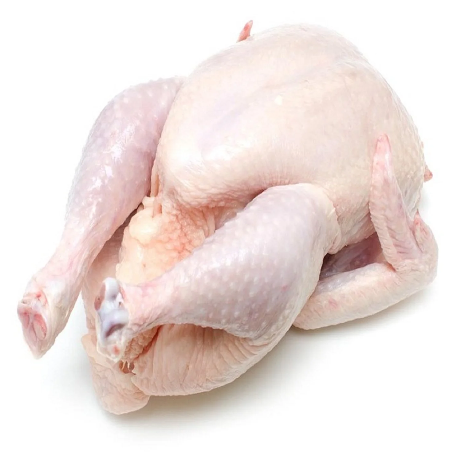 Popular factory chicken breast best price frozen chicken poultry chicken