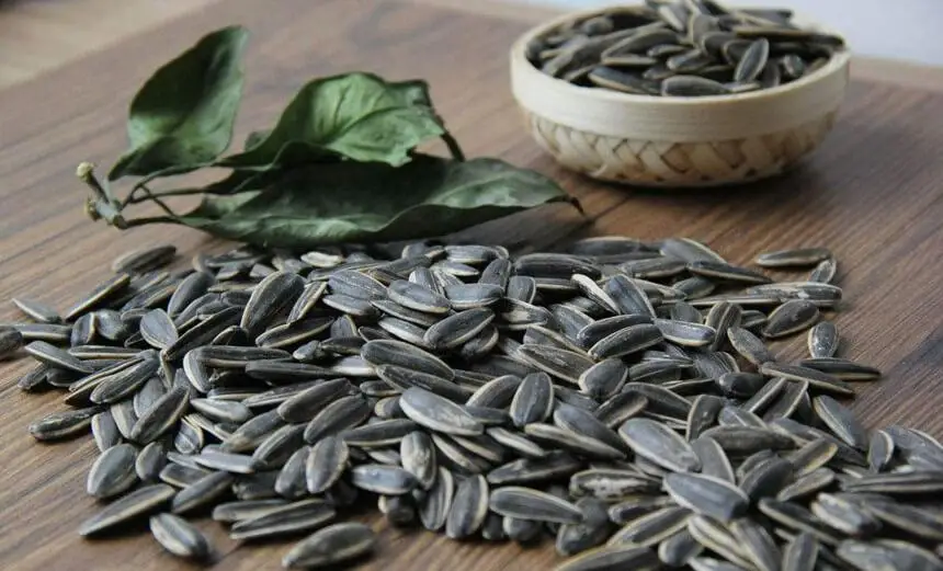 Variety of High Quality Wholesale Black and White Sunflower Seeds Black Sunflower Seed