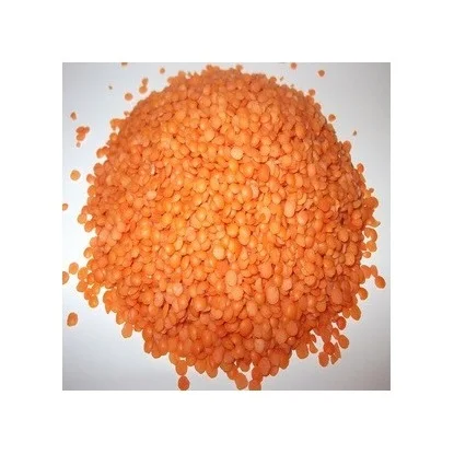 High Quality Organic Canadian Whole Red Lentils / Split Red Lentils Available For Sale At Low Price