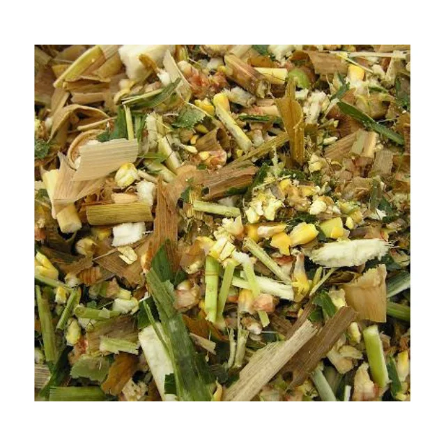 Top-Quality Corn Silage Optimal for Dairy and Beef Cattled Energy