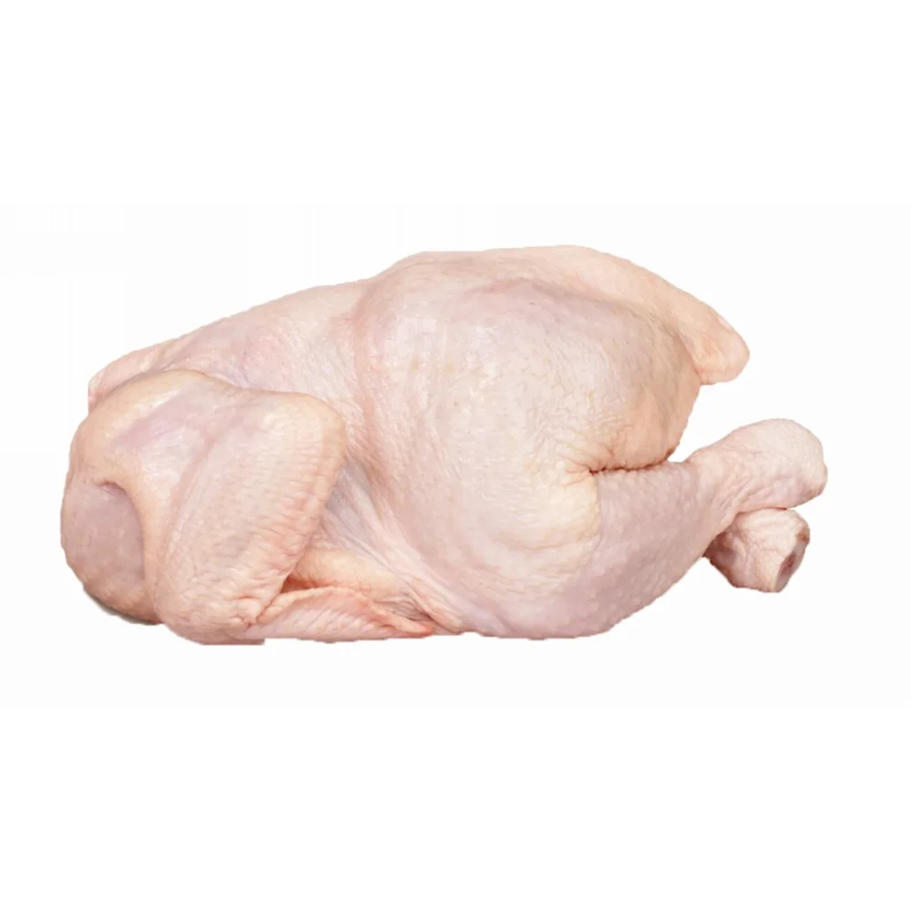 Top Selling Premium Grade High Quality Low Price Fresh Poultry Meat Frozen Whole Chicken From France