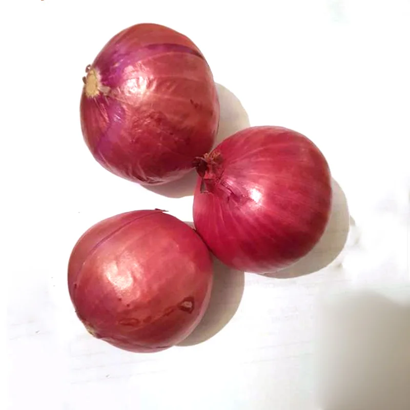 Fresh red onion for sale / premium quality red onion wholesale/low price onion for sale