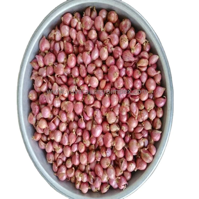 Fresh Red Onion in reasonable pricing Big and Small Size Onion Fresh Vegetable Suppliers and Exporters In India