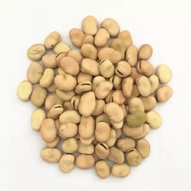 fava beans broad beans price Now Wholesale High quality Salted Broad Beans Chips, fried broad bean chips,fava beans