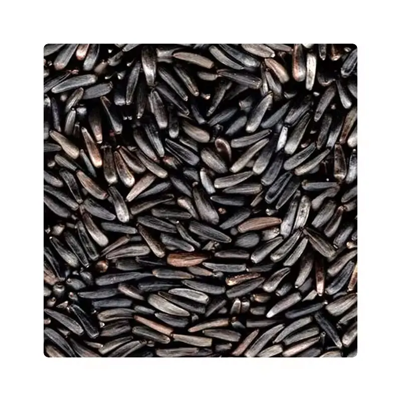 Natural Oil Enriched Black Niger Seeds 100% Natural Highly Nutritional Niger Seeds Buy At Wholesale Price