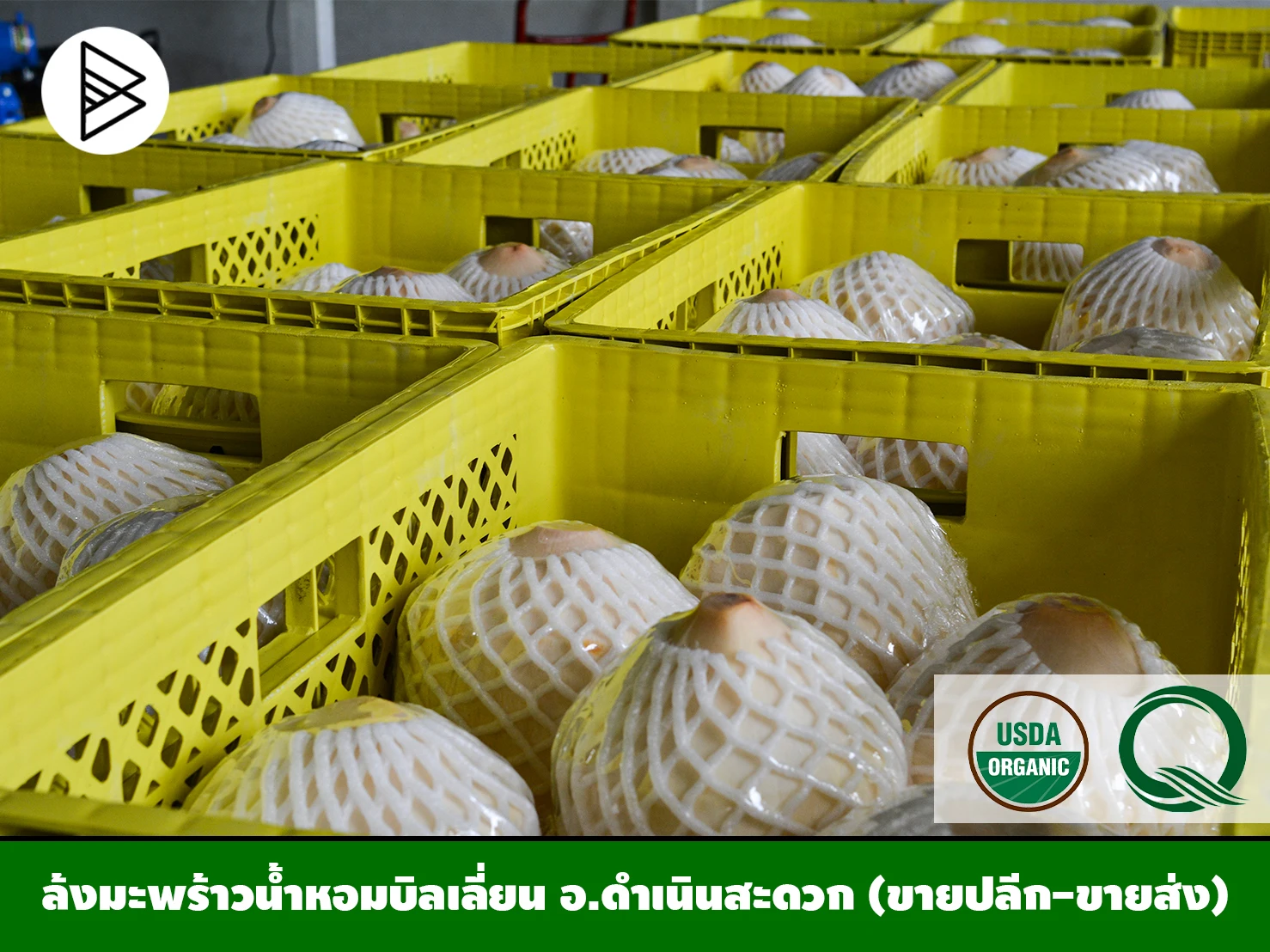 Молодой кокосовый тропический фрукт продукты премиум класса качественный чистый напиток из Таиланда
