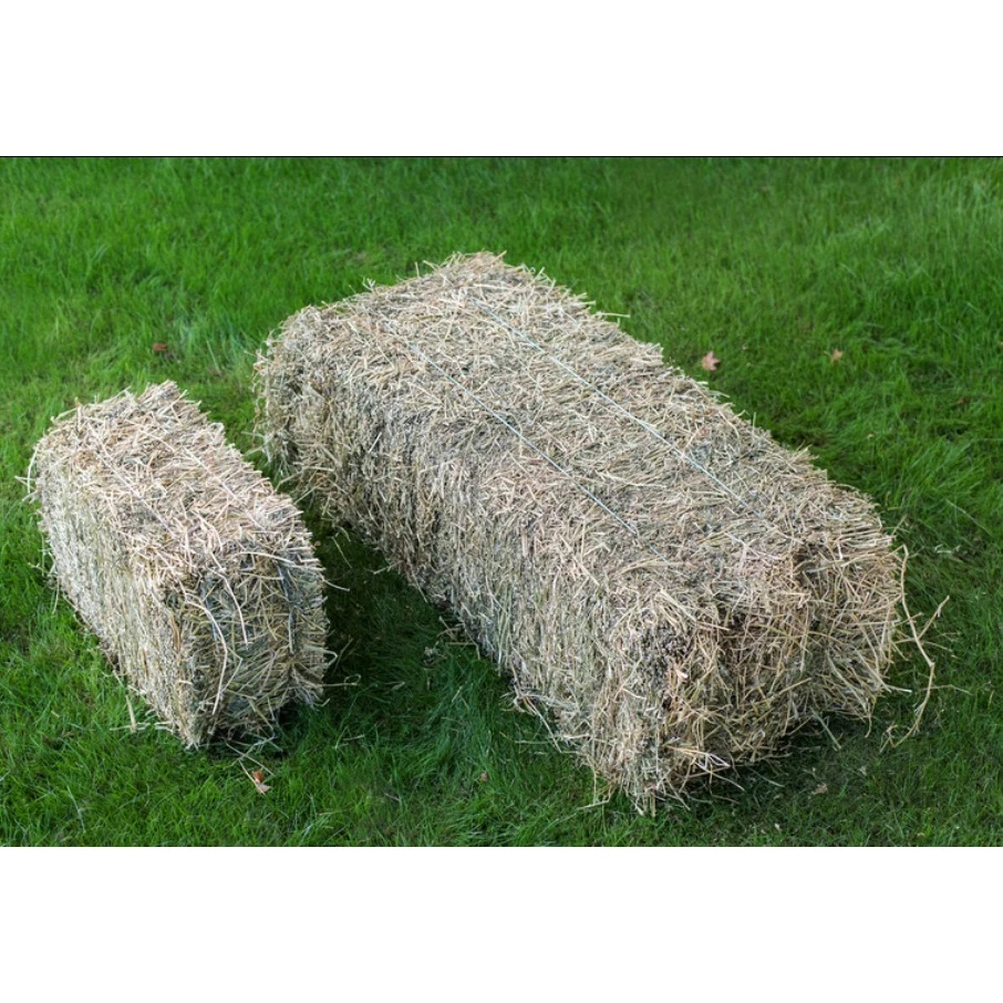 Распродажа сено Lucerne