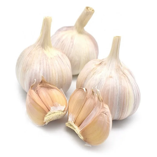 5.5 cm Factory Pure White Fresh Garlic Price/ bulk garlic for sale/ garlic from Austria