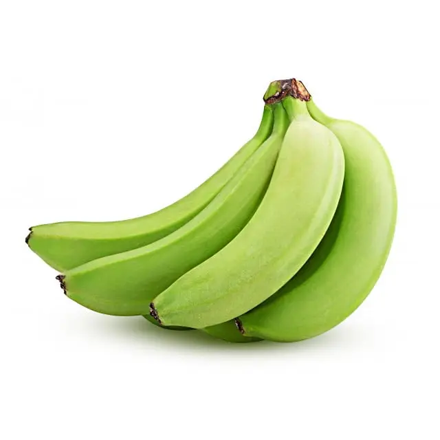 Crop Green Tropical Banana OEM Style Organic Cavendish Color Weight Origin Type Variety Grade Product ISO Fresh Fruit Place