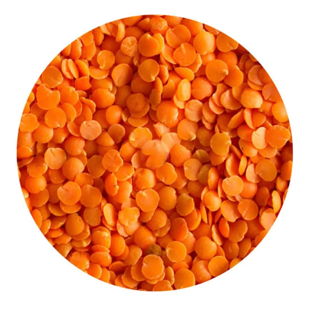 Organic Premium Grade Split Red Lentils Dried Chana Dal for Food Use Green Lentils Export Bulk