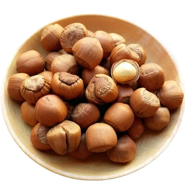 Natural Taste Quality Organic Hazelnut/Hazel Nut at Low Price