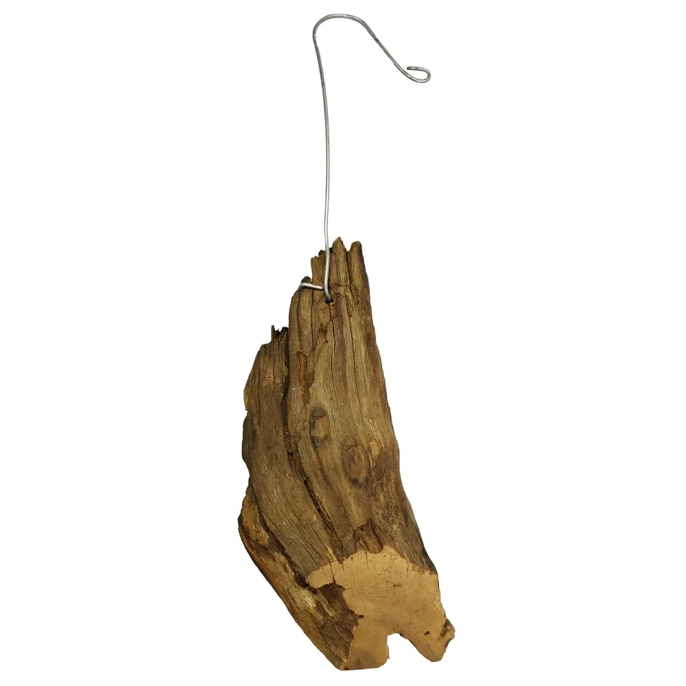 New Driftwood for Air Plants Hanging : Orchid, Tillandsia High Quality Products From Thailand