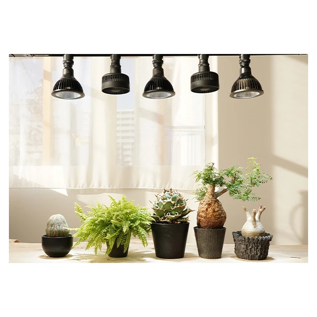 Хорошая цена продажи 3D-печать логотипа нагревательные приборы охлаждающий вентилятор Aechmea