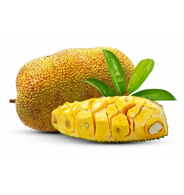 Summer Tropical Fruit Natural Sweet Taste Fresh Jackfruit 100% Organic Yellow Color Competitive Price