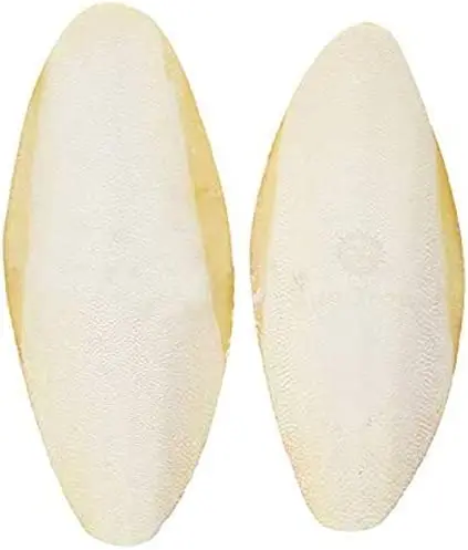 Цепота сепия косточка корм для рыб птиц особенности применения овальной формы органический домашних животных кости