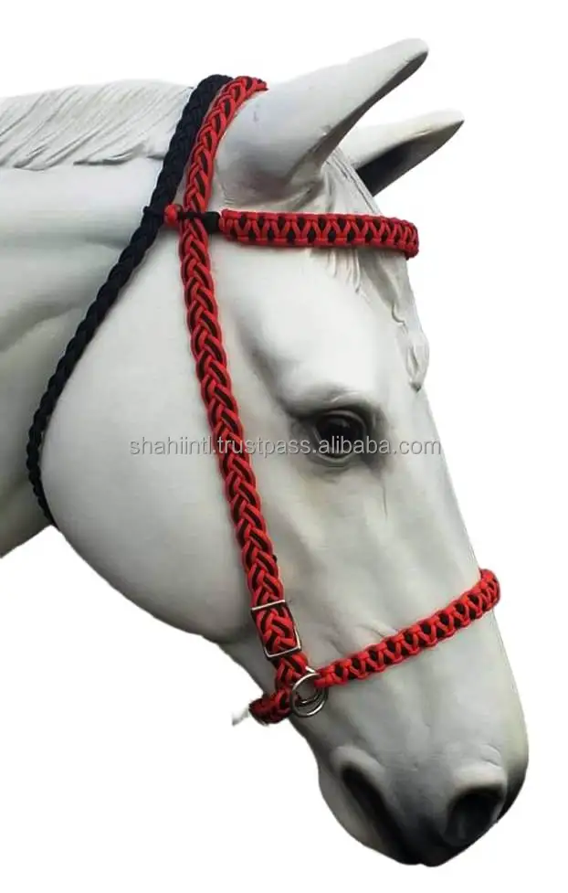 Equestrian Horse Bridle Premium Fancy 2mm Braided Rope Heavy Quality Iron Buckle in Blue/Black/Red/White Wholesale Price