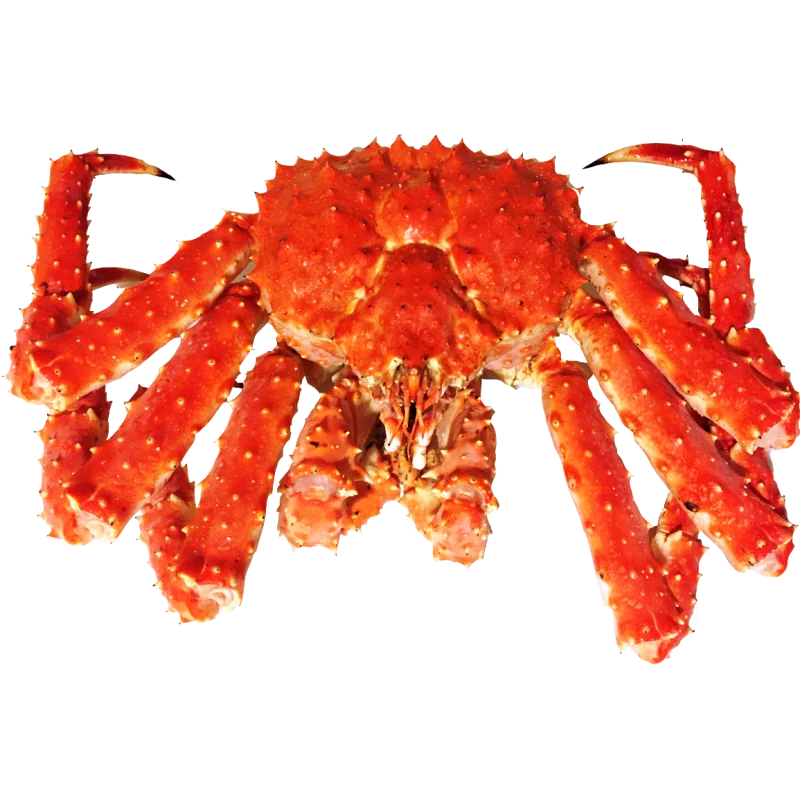 Bulk Fresh Frozen King Crab Legs Whole King Crab and Soft Shell Crab Dried Style with Cutting Style Available