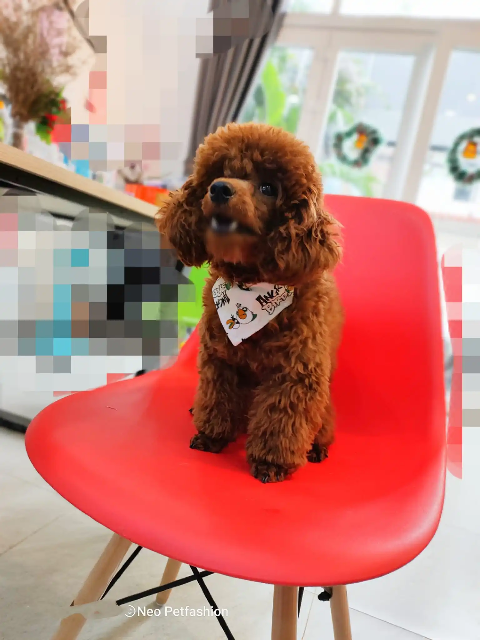 Style bow designed OEM pet accessories Various Pattern Pet Dog Bow Tie Collar Head Scarfs Dog Bandana HOANG LINH SG from Vietnam