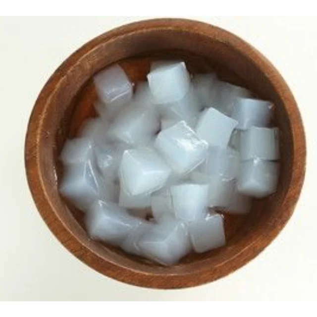NATA DE COCO-кокосовый Вьетнам высокого качества-CARYLN