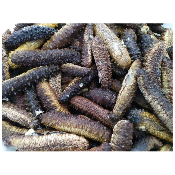 Dried Sea Cucumber / Dry Sea Cucumber
